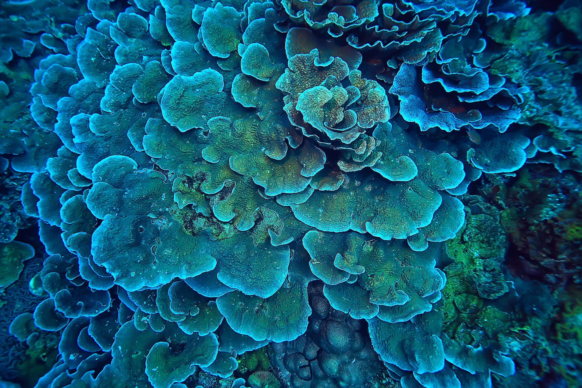 teal texture