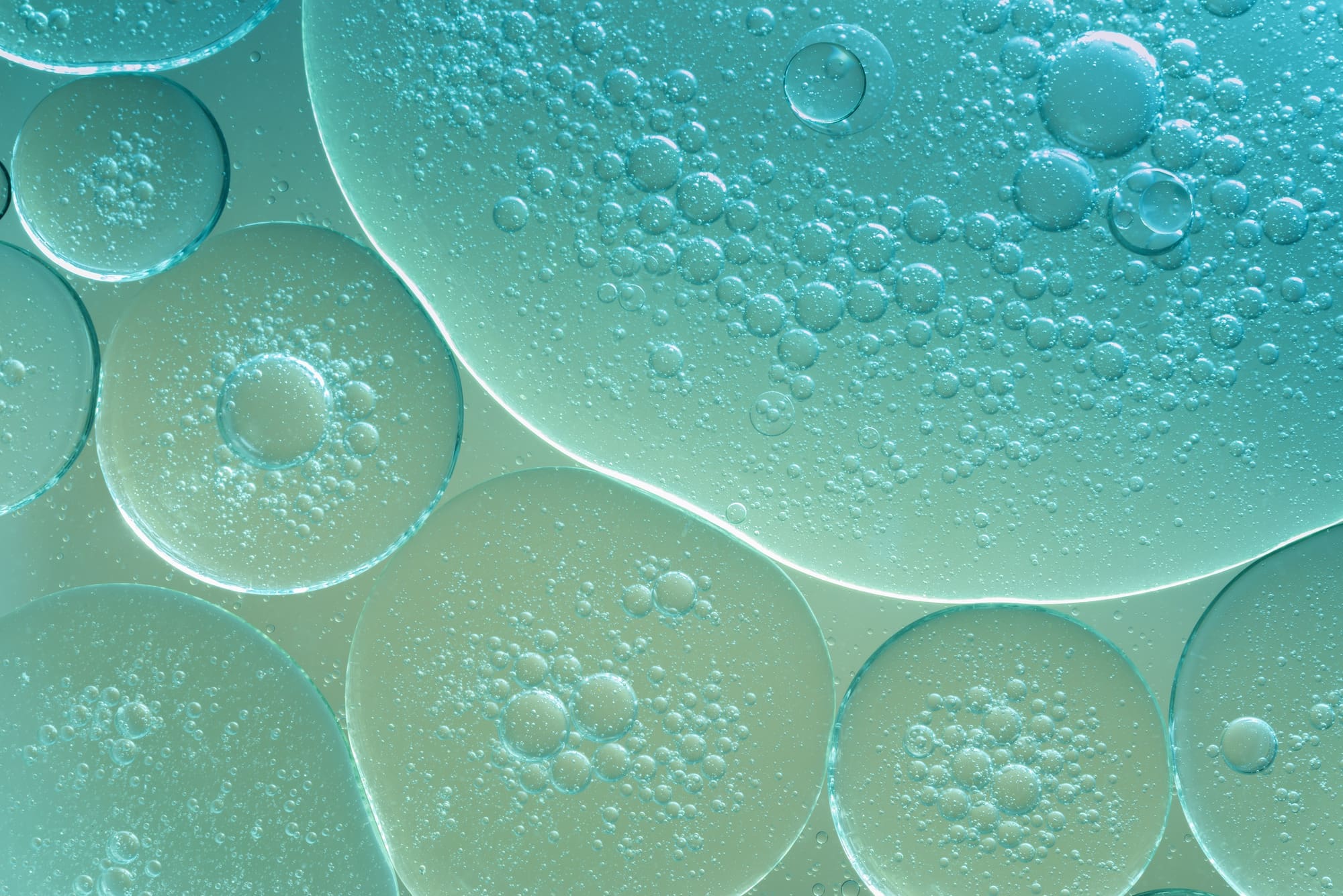 cellular texture